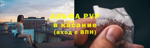 прущие грибы Краснослободск