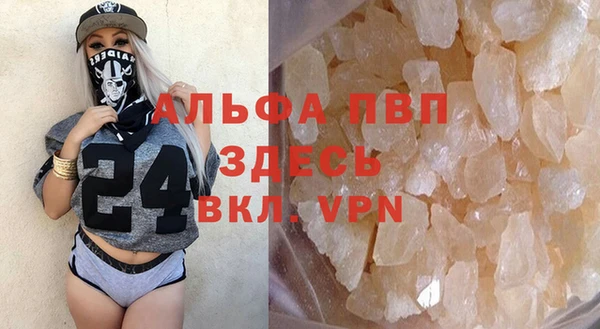 прущие грибы Краснослободск