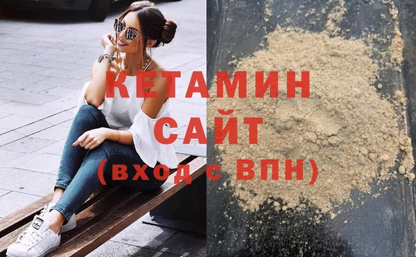 индика Новодвинск