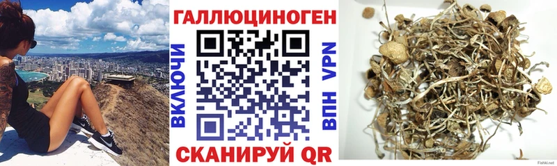 Псилоцибиновые грибы Magic Shrooms  мориарти Telegram  Сухиничи 